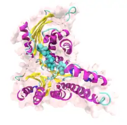 Galactokinase