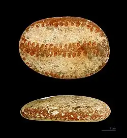 Bemalte Kiesel (Höhle von Mas d’Azil)