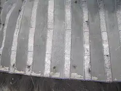 Galonierter Seefuchs, Lederseite