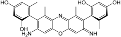 γ-Amino-orceinimin