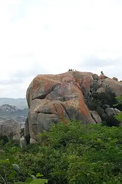 Gangilonga-Felsen (2011)