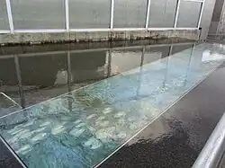 Spiegelungen auf der Wasseroberfläche im Garden of Fine Arts