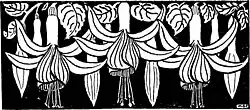 Frances Garnet Wolseley: „Gardens, their form an design“ (1919)