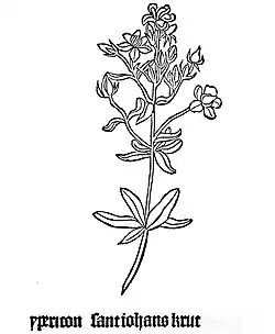 Gart der Gesundheit 1485