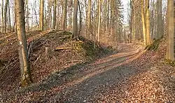 Der durch die Wallanlage hindurchführende Forstweg