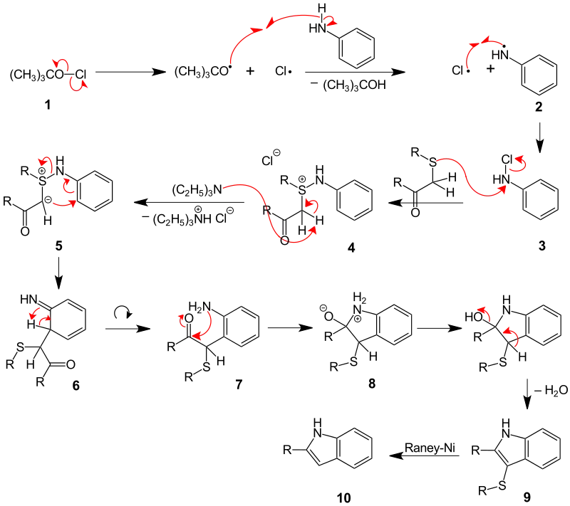 Indol-Synthese nach Gassman
