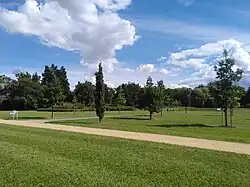 Einzelne Bäume verschiedener Sorte auf einer Wiese, davor und dazwischen ein Weg, im Hintergrund Wald