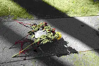 Der Gedenkstein für die Familie von Thomas Blatt am 80. Jahrestages des Aufstandes von Sobibór