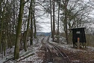 Hinten Burgplateau. Vorne aufgefüllter Halsgraben