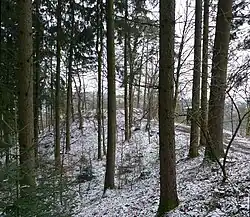 Hinten Burgplateau. Vorne aufgefüllter Halsgraben