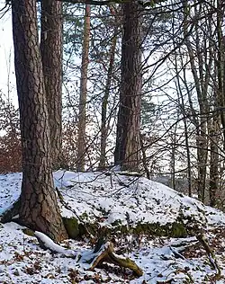 Mauerrest. Südliche Ecke des Festen Hauses