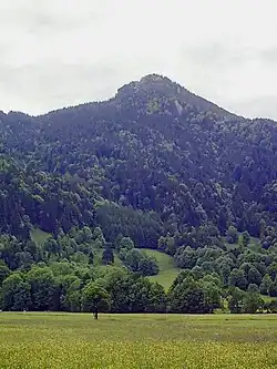 Der Geierstein von Lenggries aus
