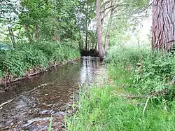 Bach Geisa im Ort Geisa