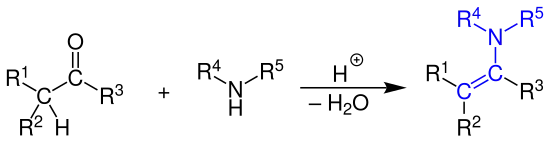 Allgemeine Reaktionsgleichung der Enamin-Bildung durch Kondensation einer Carbonylverbindung mit einem sekundären Amin
