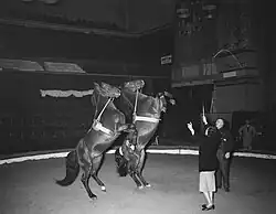 Training Dezember 1958