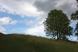 Südhang des Georgenbergs