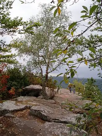 Wanderpfad auf dem Gipfelplateau