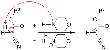 Reaktionsmechanismus der Gewald-Reaktion