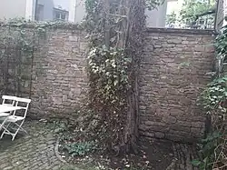 Spalier unweit es Herderhausbrunnens