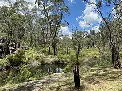 Platypus Creek Trail