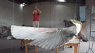 Platten vom Strand werden an Seilen an der Decke aufgehängt