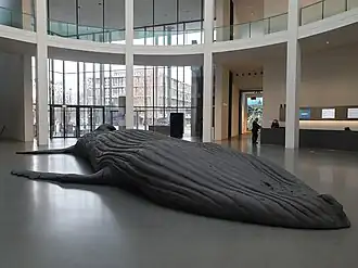 Frontalansicht, München Pinakothek der Moderne 2021