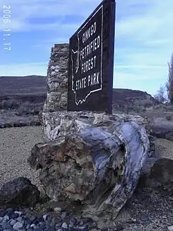 Ginkgo Petrified Forest State Park