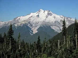 Glacier Peak, Blick auf Osthang
