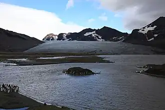 Mündung des Buxton-Gletschers in die Saint Andrews Bay