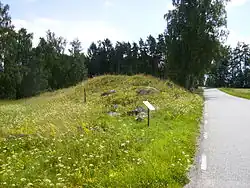 Grabhügel von Glanshammar