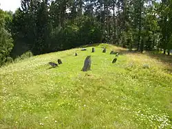 Schiffssetzung von Glanshammar