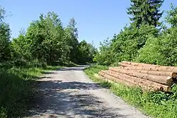 Gipfelbereich des Glasberges