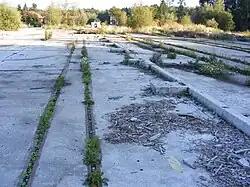 Gleisreste der Bockerlbahn nahe der Umladestelle zur Salzburger Lokalbahn (2010)
