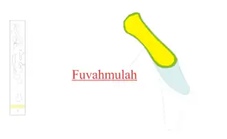 Flagge von Fuvahmulah-City (Gnaviyani)