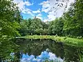 Seerosenteich bei Altenau, mit Goethestation