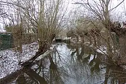 Leinekanal südlich der Altstadt in der Nähe der Walkemühle (2021)