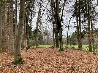 Goggersbühel, höchster Punkt