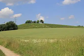 Der Goldberg von Michelbach gesehen