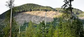 Kahlschlag im Gordon River Valley nahe Port Renfrew
