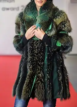 Rotfuchsmantel, grün gefärbt (Schweiz, 2011)