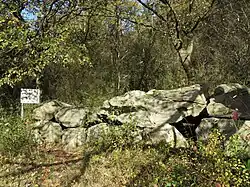 Großsteingrab Groß Steinum 1