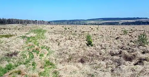 Vennhochfläche Noir Flohay