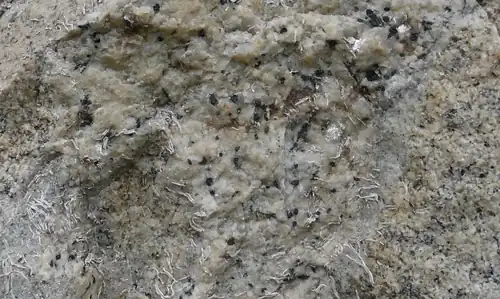 Feinkörnige Fazies mit pegmatitischer Absonderung in Nontron