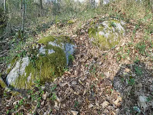 Typischer Geländeaufschluss der grobkörnigen Fazies in den Wäldern Nontrons (bei La Bardinie)