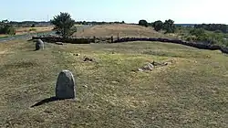 Treudd auf dem Gräberfeld von Mysinge