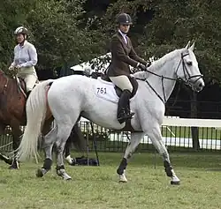 Vollständig ausgeschimmelt