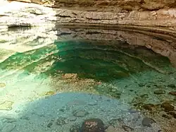 Blick auf und unter die Wasseroberfläche in der Doline
