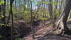 Grevenau, Blick in Richtung Einmündung in die Alster