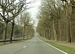 Die vierspurig ausgebaute Bundesstraße 6 im Grinderwald