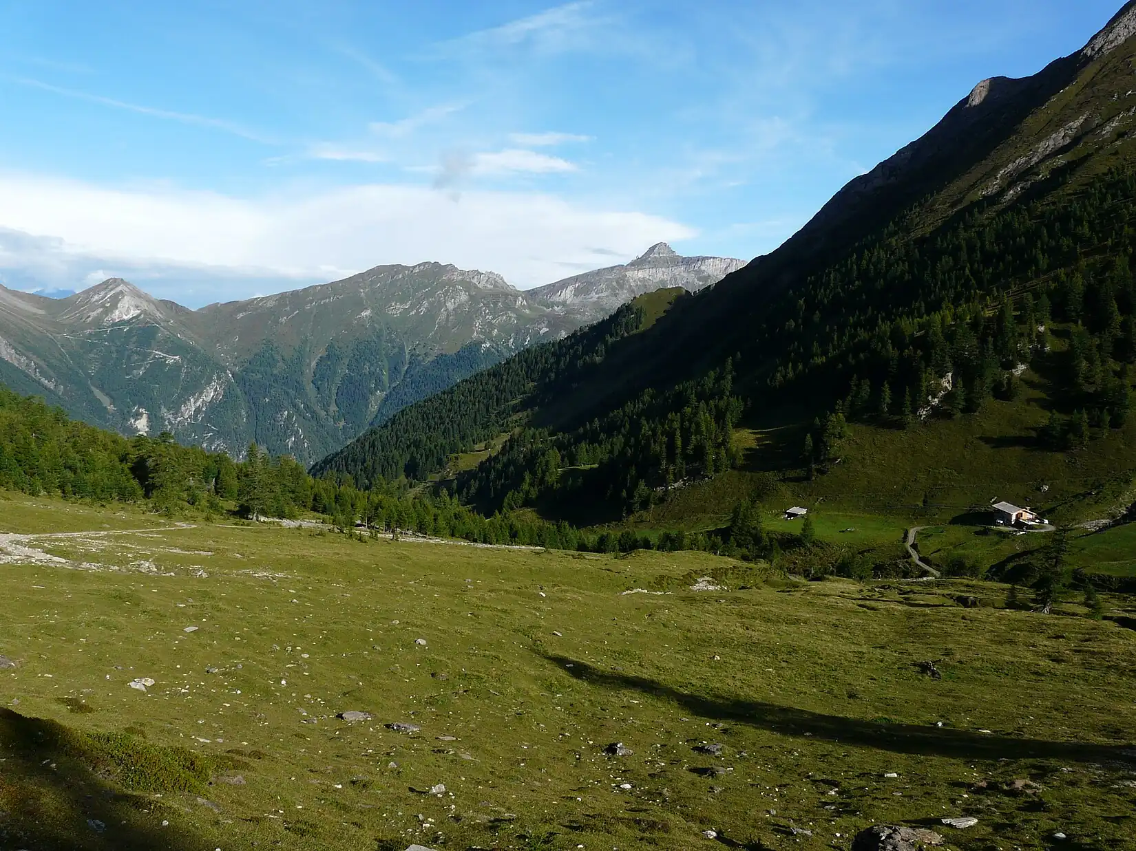 alternative Beschreibung